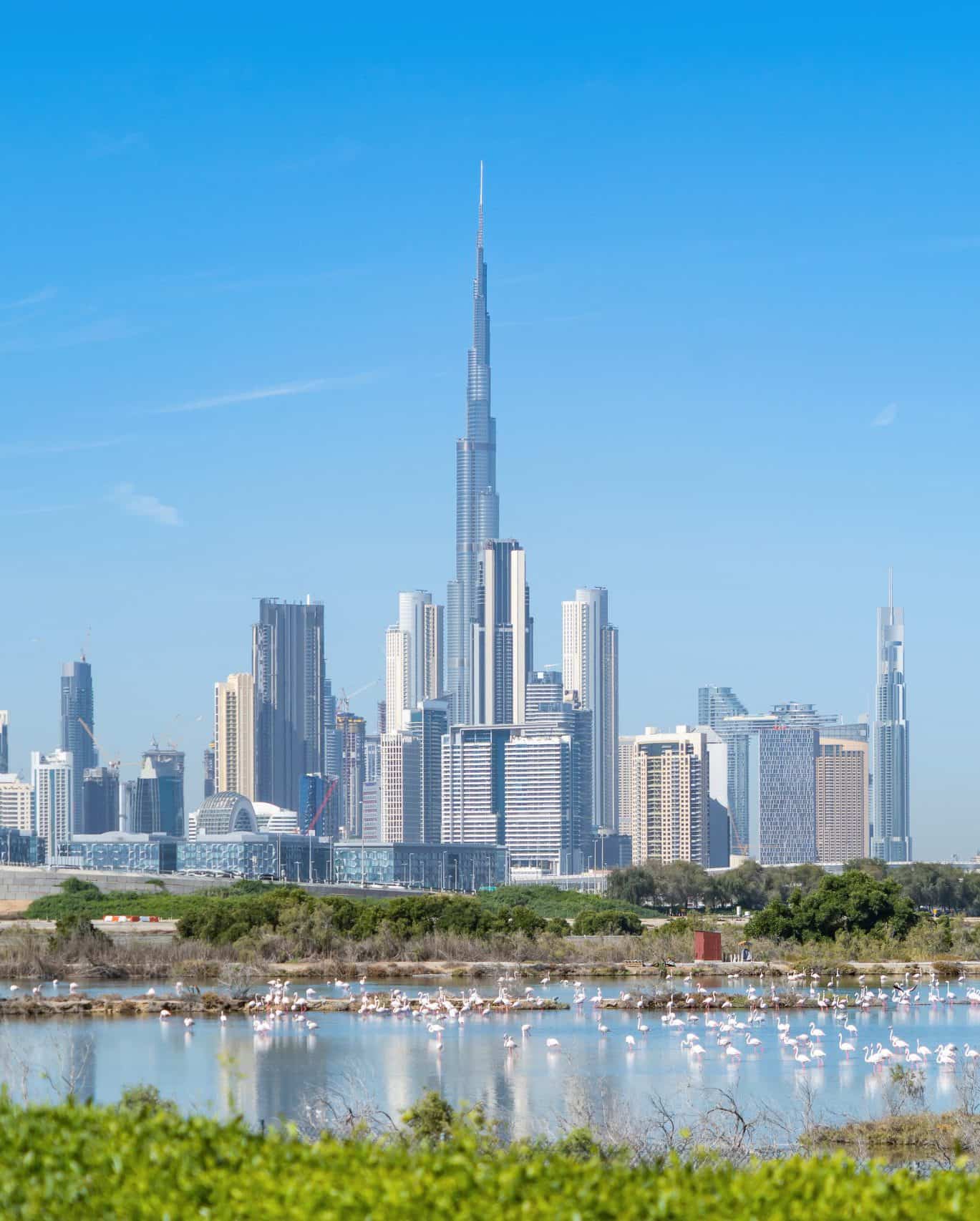 dubai-downtown-skyline-united-arab-emirates-or-ua-2023-11-27-05-19-40-utc-scaled-e1716043558260-1.jpg