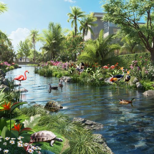 10-tortoise-Garden